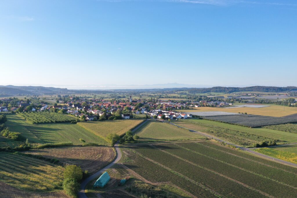 Luftaufnahme von Frickingen im Linzgau: Ortschaft mit Kirchturm, umgeben von Obstanlagen und Feldern, im Hintergrund Bodensee und Alpen.